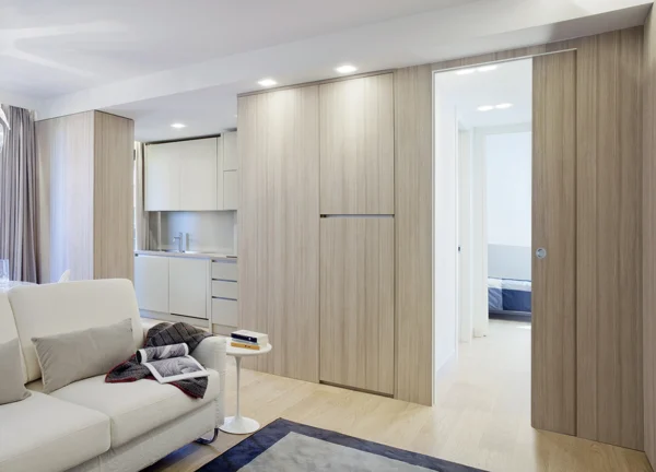 SDS010S Eclisse Syntesis Single Door - Image 3